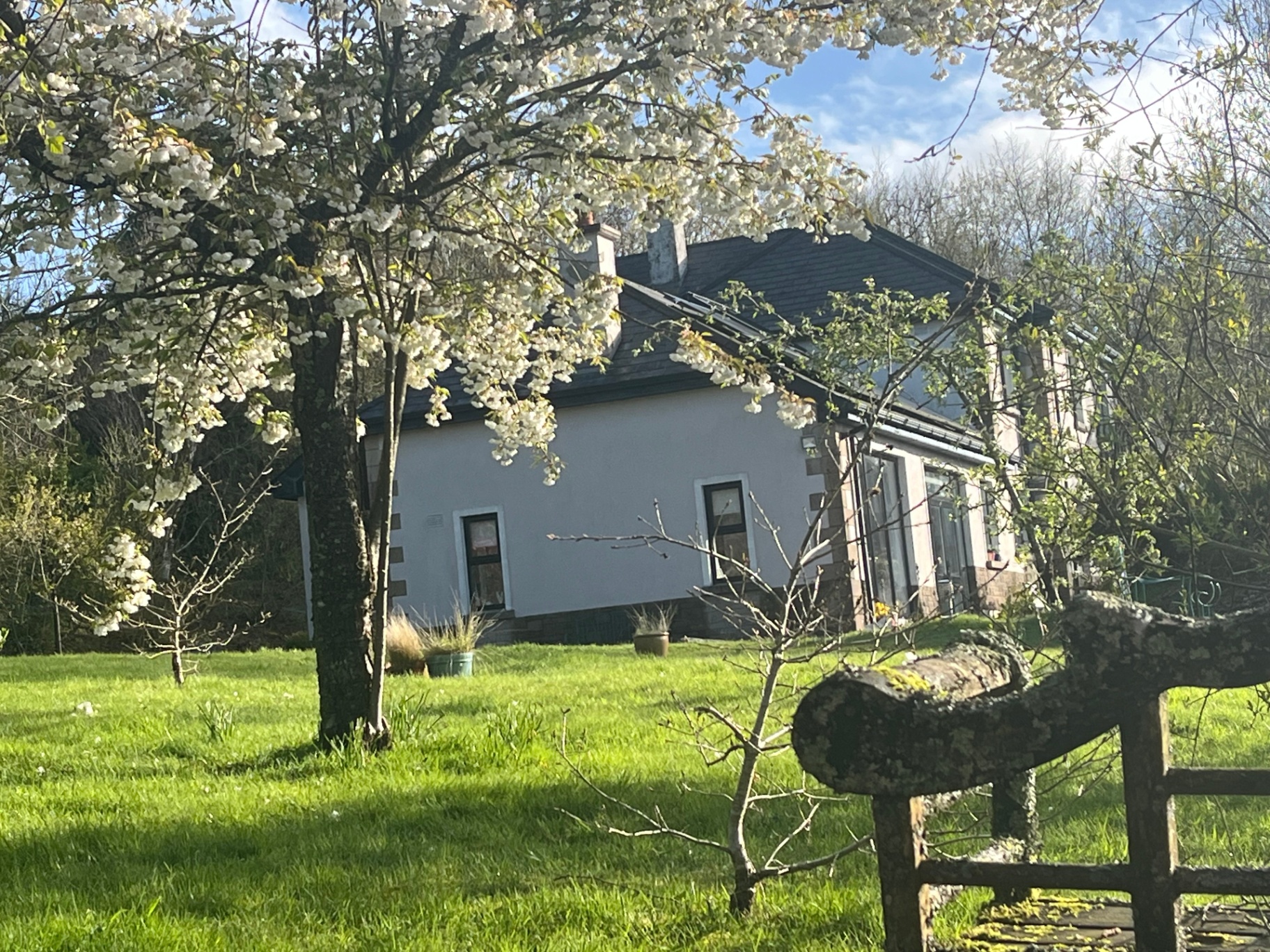 The lodge beyond the blossom trees, spring morning