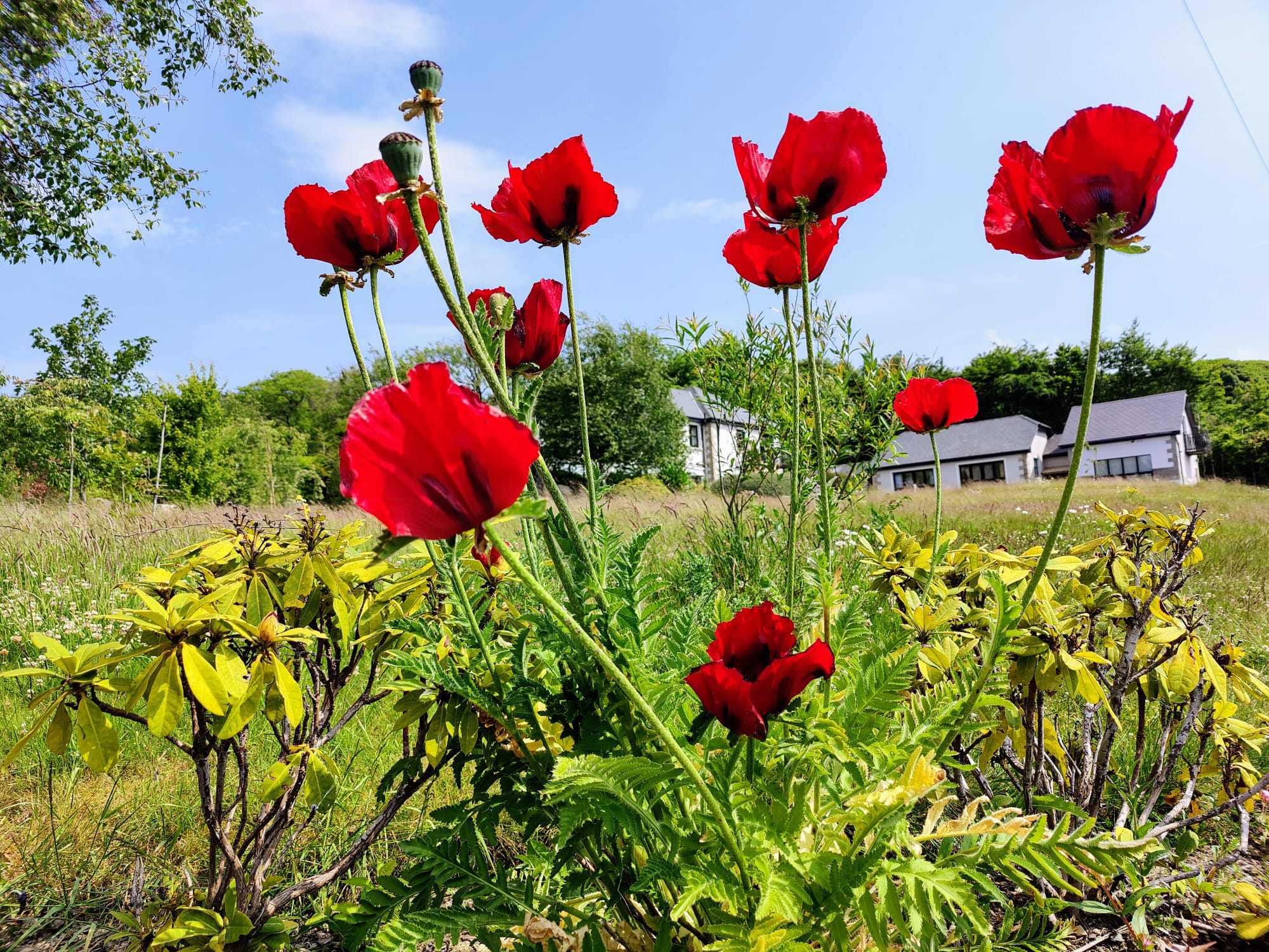 Qigong & Meditation weekend retreat Friday 16 – Sunday 18 October 2026