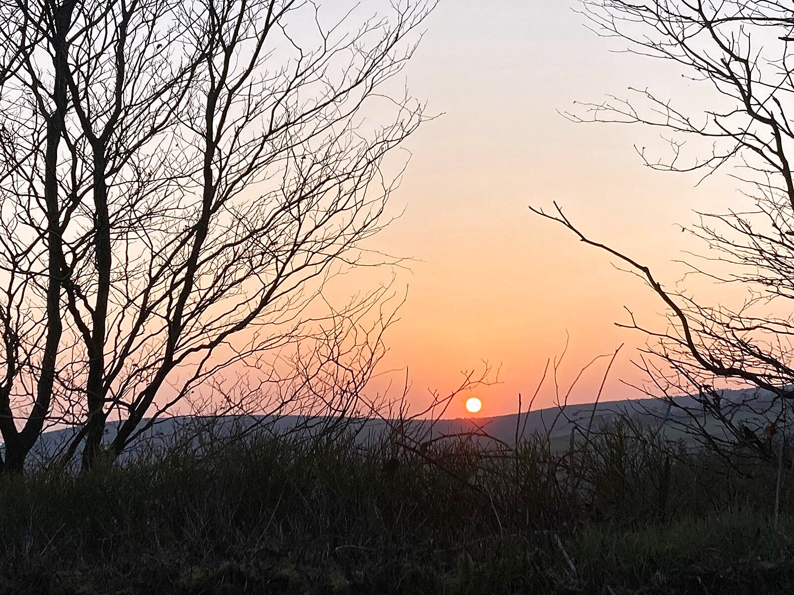 Meditation & Relaxation Evenings
