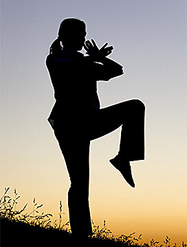 Qigong practice in the gardens at Danu Lodge